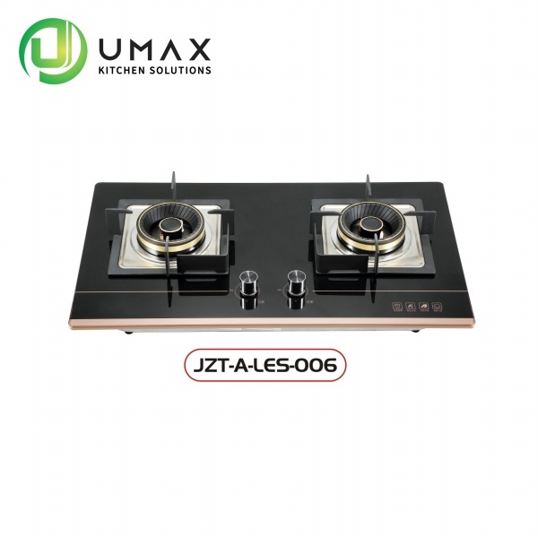 Two burner gas stove